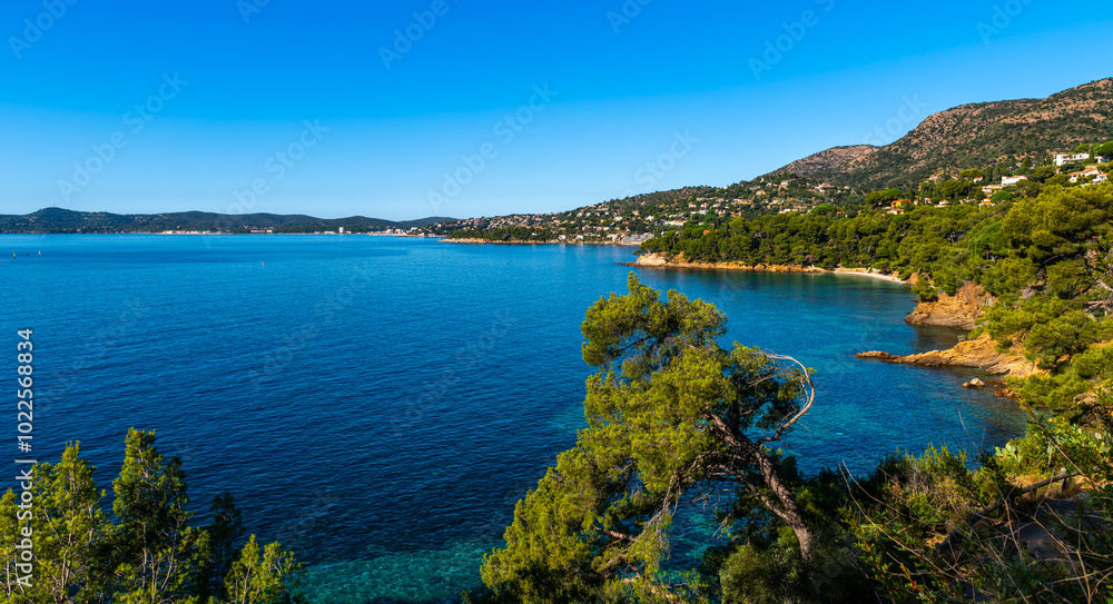 Fototapeta premium Landscape of the Var coast, near Saint Tropez, in the Var, in Provence, France