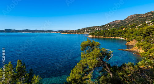 Landscape of the Var coast, near Saint Tropez, in the Var, in Provence, France