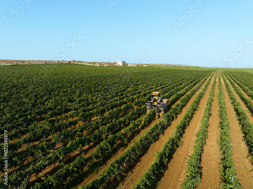 GRAPE HARVESTER WHILE HARVESTING IN AGRICULTURAL LAND IN MANDURIA IN PUGLIA, FROM ABOVE 3