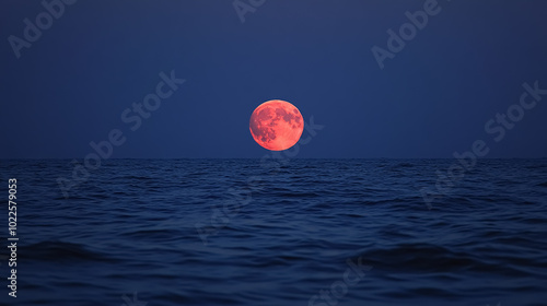Fototapeta Naklejka Na Ścianę i Meble -  Rising Red Moon Over Baltic Sea: The red moon rising over the dark blue waters of the Baltic Sea.