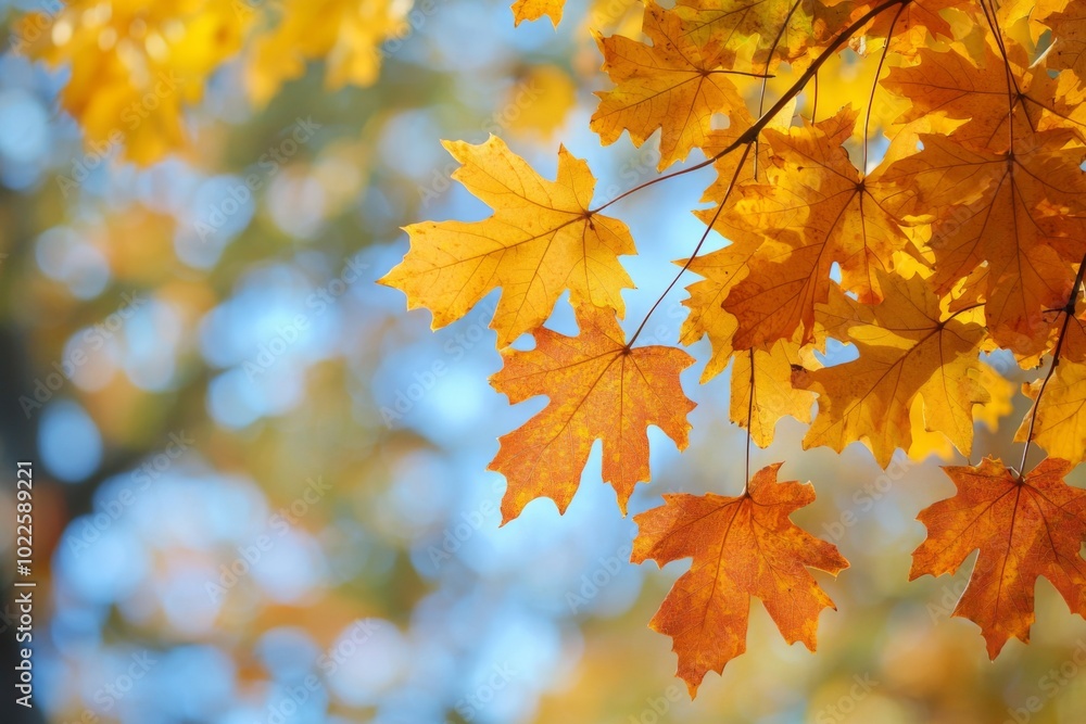 Fallen Leaves Season Background created with Generative AI Fallen Leaves Season Background created with Generative AI
