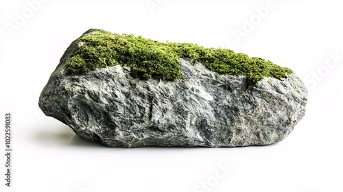 A solitary, lichen-clad rock rests against a flawless white backdrop, highlighting its rich textures and vibrant green tones.