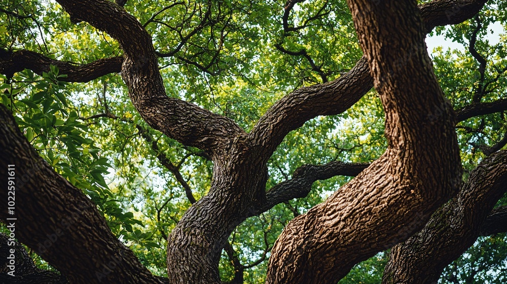 Twisted branches and rough bark define the majestic silhouette of a tree adorned with vibrant green foliage, forming a captivating organic masterpiece. Twisted branches and rough bark define the majestic silhouette of a tree adorned with vibrant green foliage, forming a captivating organic masterpiece.