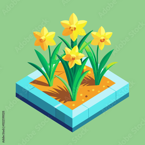 daffodil-isometric-illustrations