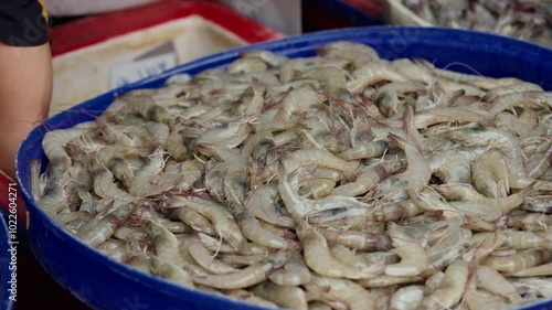 Pile of fresh raw shrimp in a blue container at a bustling seafood market for sale