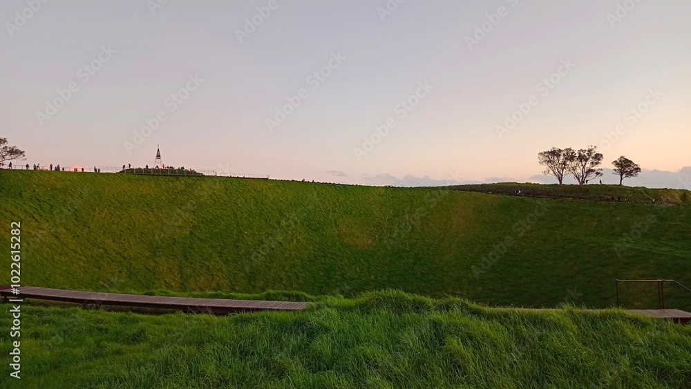 Fototapeta premium A residential street in Auckland, New Zealand in summer
