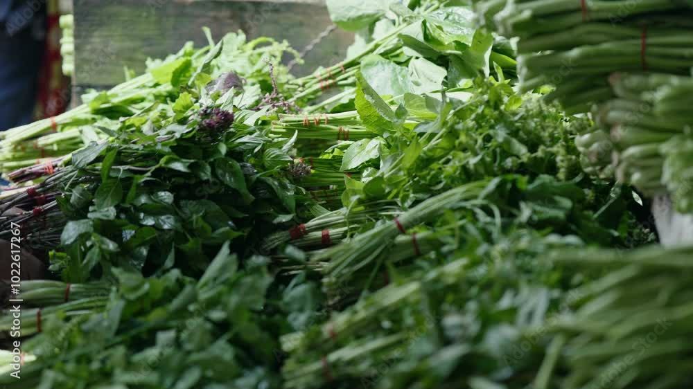 Vendor's hand arranging fresh herbs and leafy greens on a local market stall for sale. Local market. Close up Vendor's hand arranging fresh herbs and leafy greens on a local market stall for sale. Local market. Close up