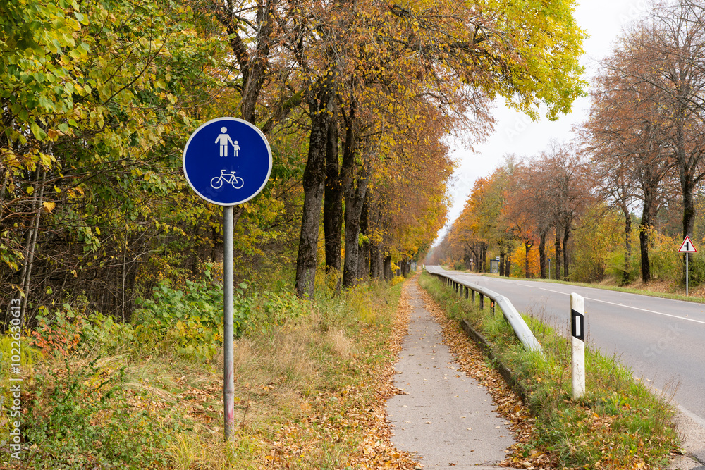 Bicycle and pedestrian lane by road with sign in autum wth lots of leaves, Lithuania Bicycle and pedestrian lane by road with sign in autum wth lots of leaves, Lithuania
