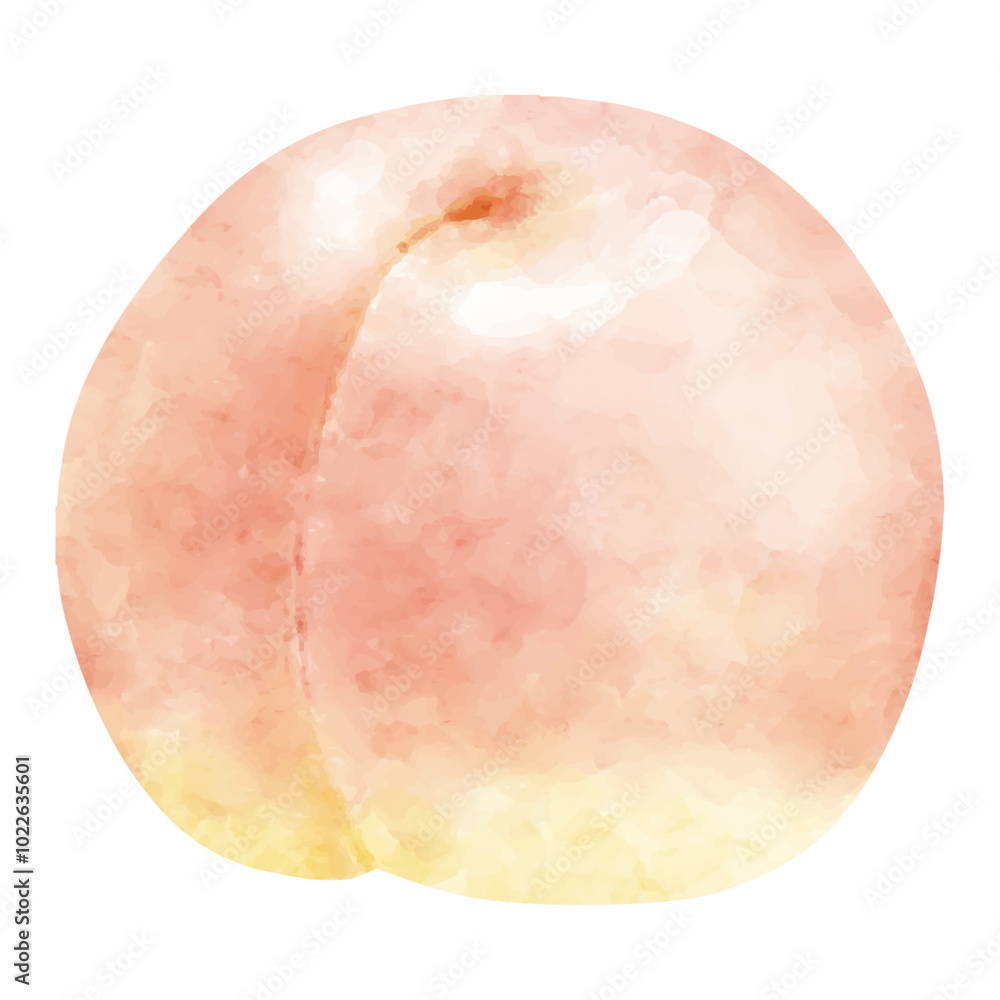 水彩で描いた新鮮な桃のイラスト 水彩で描いた新鮮な桃のイラスト