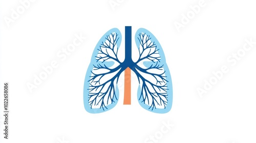 Anatomical Diagram of Human Lungs and Respiratory System