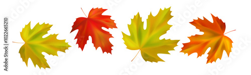 Border of realistic maple autumn leaves. Orange, yellow, red maple fall leaves swirl in the wind. Vector illustration