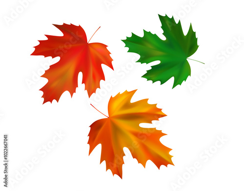 Composition of realistic maple autumn leaves. Orange, green, red maple fall leaves swirl in the wind. Vector illustration