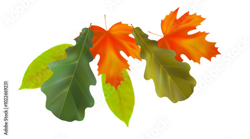 Composition of realistic oak and maple autumn leaves. Yellow, green, orange, red leaves swirl in the wind. Vector illustration