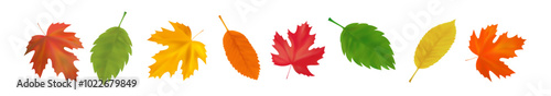 Border of realistic autumn leaves. Orange, yellow, red, green maple, aspen fall leaves swirl in the wind. Vector illustration