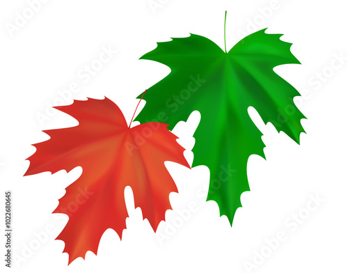 Realistic autumn maple leaves composition. Red, green flying fall vibrant leaves. Vector illustration