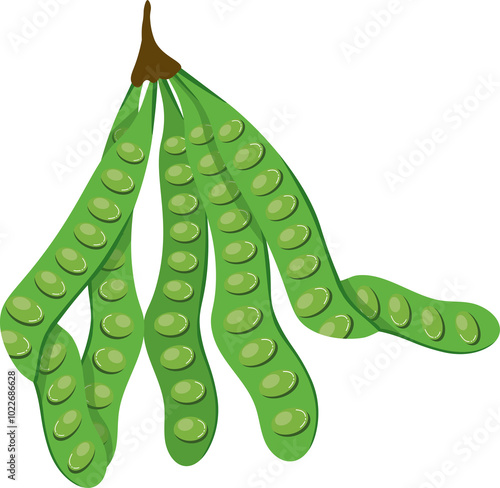 фотографія vegetable petai illustration