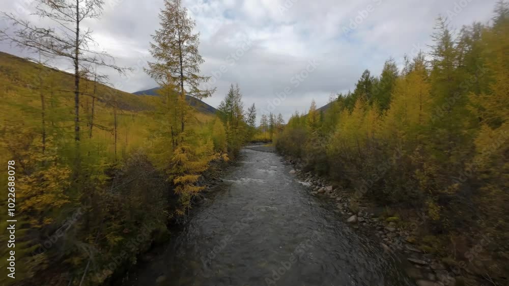 Experience the tranquility of a flowing river nestled in a vibrant forest, showcasing nature's artistry. Experience the tranquility of a flowing river nestled in a vibrant forest, showcasing nature's artistry.