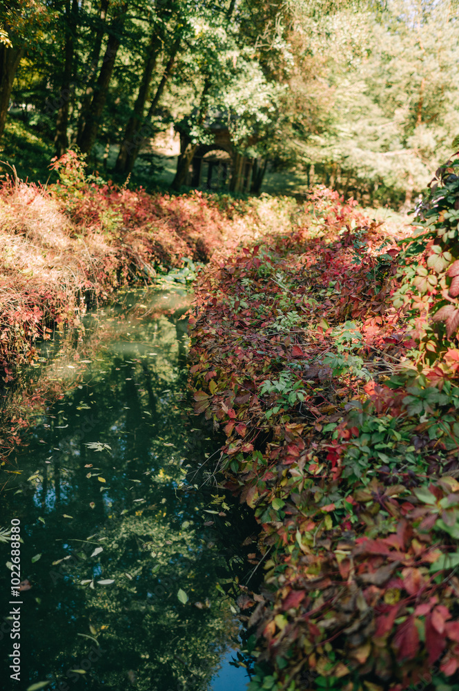 lake in the middle of the park, autumn forest nature lake in the middle of the park, autumn forest nature