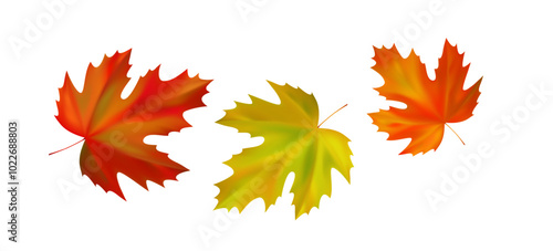 Composition of realistic vibrant maple autumn leaves. Yellow, orange, red leaves swirl in the wind. Vector illustration