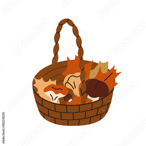 Autumn mushrooms in basket. Forest fungi gathered picked into wicker. Seasona...