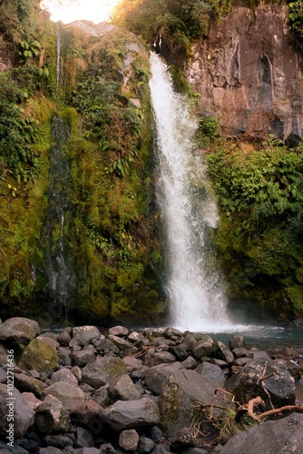 Dawson Falls in New Zealand - Majestic Waterfall Nature