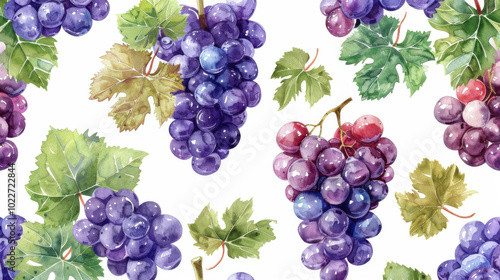 Watercolor pattern red grape, and leaves for vibrant and summery design