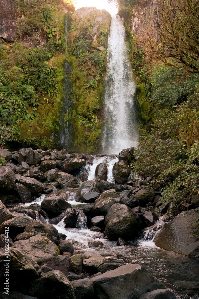 Fototapeta premium Dawson Falls in New Zealand - Majestic Waterfall Nature