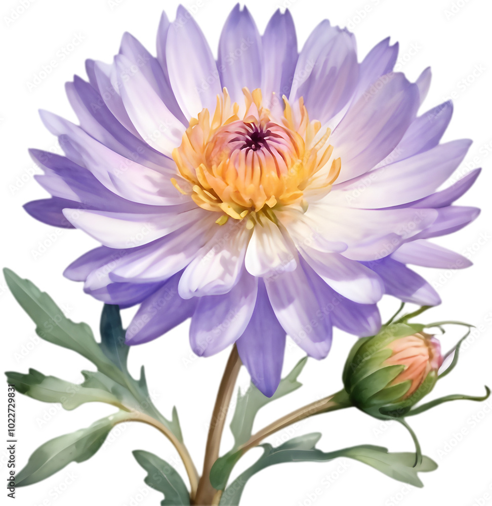 Obraz premium Refreshing Watercolor Clipart of Mojave Aster Flower Vibes. 
