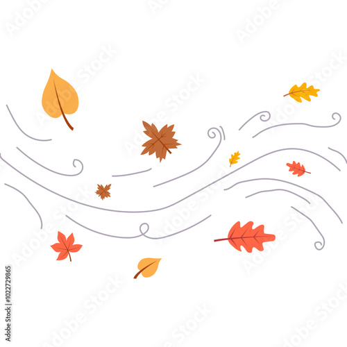 Autumn Wind