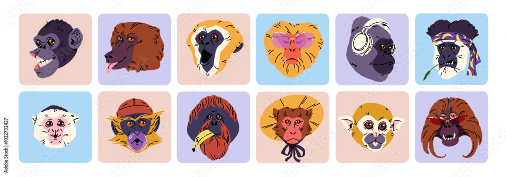Cute avatars of monkeys set. Icons with square shape with portraits of funny primates. Amusing heads, smile faces of gorilla, marmoset for user profile. Flat isolated vector illustrations on white Cute avatars of monkeys set. Icons with square shape with portraits of funny primates. Amusing heads, smile faces of gorilla, marmoset for user profile. Flat isolated vector illustrations on white