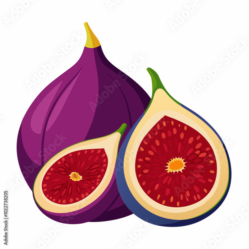 Fig Fruit and slice vector illustration