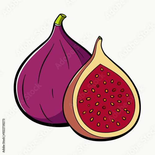 Fig Fruit and slice vector illustration