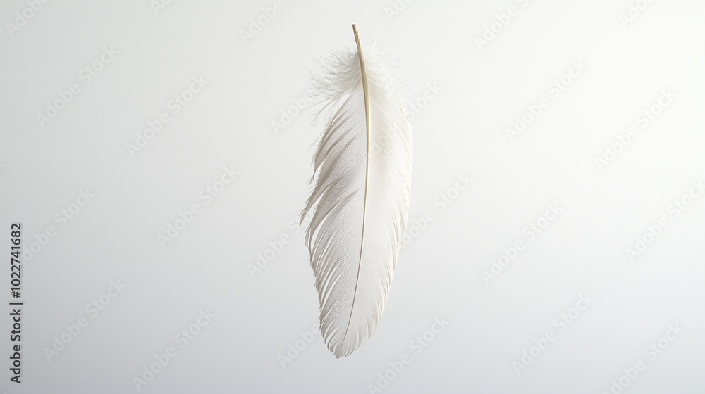 Obraz premium A delicate, intricately detailed feather hangs suspended against a stark white background. The feather’s textures and subtle color variations are rendered sharply, evoking a sense of grace and lightne