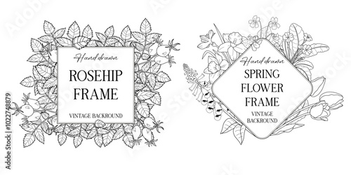 Hand drawn botanical frames with leaves and flowers. Vector illustration in sketch style isolated on white. Realistic forest design element. Space for text