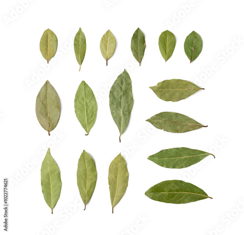 Dry Bay Leaves, Laurel Leaf, Natural Spicy Bayleaf, Fragrant Ingredient, Aromatic Spice