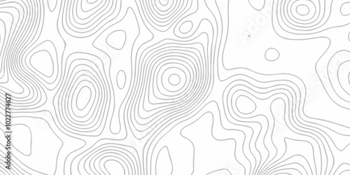 Vector lines pattern seamless sea map topography design. White wave paper curved reliefs Contour maps. 