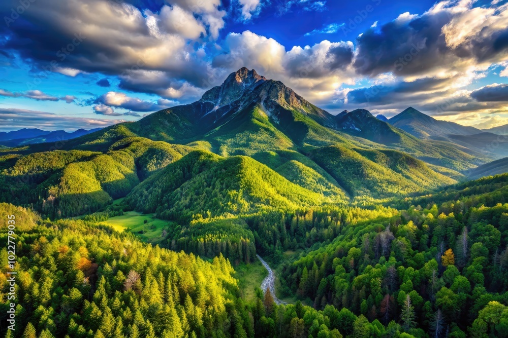 Fototapeta premium Stunning Aerial View of Mount Baldi Surrounded by Lush Green Forests and Majestic Mountain Peaks