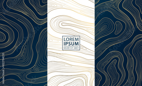 Vector set of abstract map topography, wood texture, organic shape patters. Gold on blue and white, curve sea template