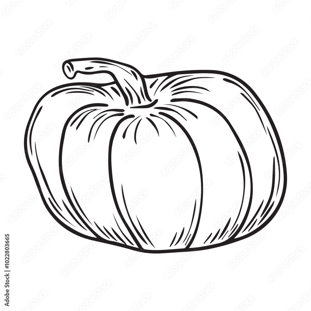 Hand Drawn pumpkin doodle. Sketch style icon. Decoration element. Isolated on white background. Flat design. Vector illustration. Hand Drawn pumpkin doodle. Sketch style icon. Decoration element. Isolated on white background. Flat design. Vector illustration.