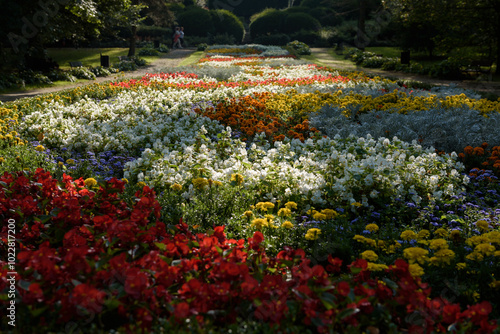 
FLOWERBET - A colorful decoration of the city park in the sunlight
 photo