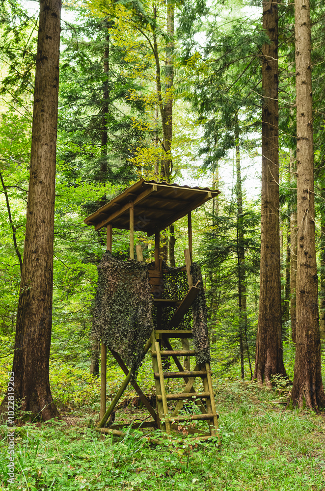 Wooden wildlife observation watch tower or deer stand in a forest in Europe, no people. Wooden wildlife observation watch tower or deer stand in a forest in Europe, no people.
