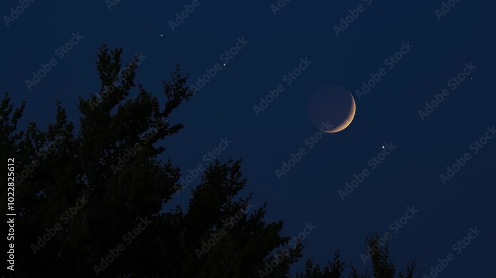 Moon, stars, planets and landscape scenery silhouettes.
Moon, stars, planets and landscape scenery silhouettes.