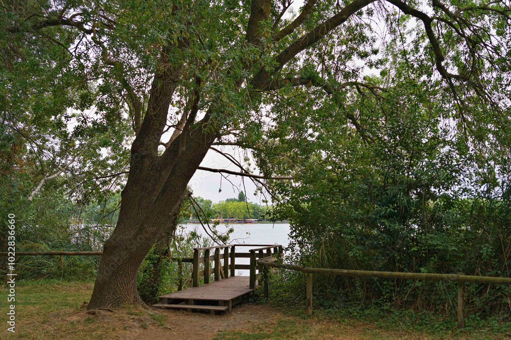 Fototapeta premium Serene Lake View with Wooden Dock and Lush Greenery