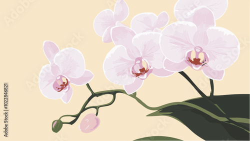 Orchid Beauty in Simple Vector Art Style