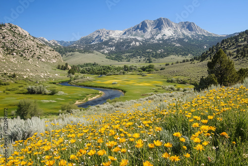 Panoramic alpine meadow in summer with colorful wildflowers, rolling green hills, snow-capped peaks, and a clear blue sky