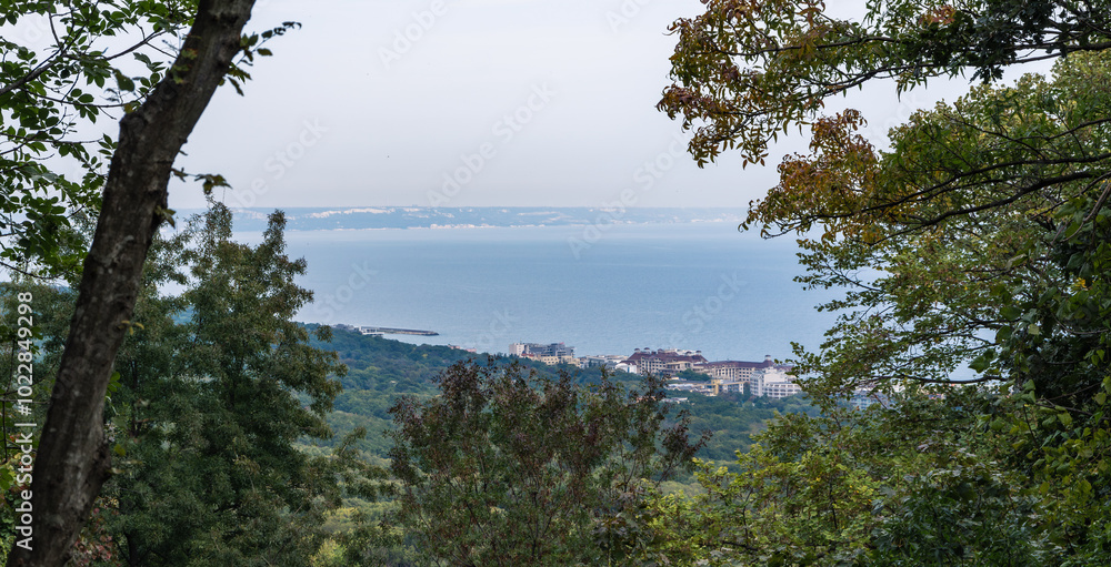Coastal view of buildings and sea through trees and greenery Coastal view of buildings and sea through trees and greenery