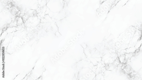 Marble granite white background wall surface black pattern graphic abstract light elegant gray for do floor ceramic, White marble texture with natural pattern for background or design art work.