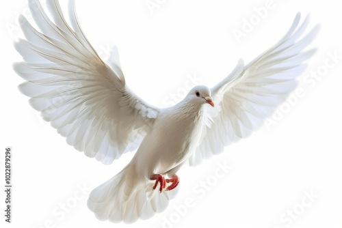 A white dove is soaring through the air with its wings fully spread, showcasing its elegance and beauty. The dove represents peace and tranquility in its flight.