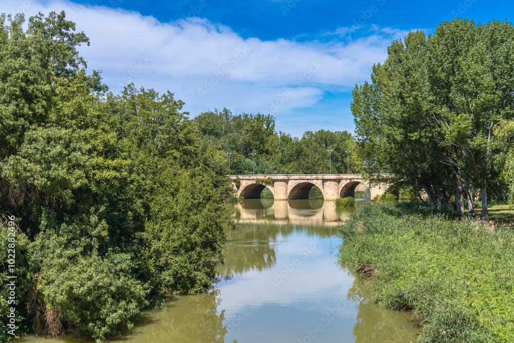 Scenic view of the Carrión River in summer with green vegetation in Palencia city, Castilla y León, Spain Scenic view of the Carrión River in summer with green vegetation in Palencia city, Castilla y León, Spain