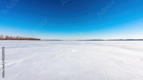 Wallpaper Mural A serene frozen lake beneath a clear, open sky, providing a tranquil winter landscape. Torontodigital.ca